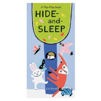 Hide and Sleep - Lizi Boyd - kniha z kategorie Pohádky