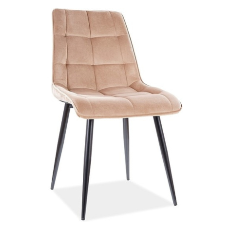 Signal Čalouněná jídelní židle Chic Velvet béžová
