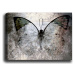 Obraz Tablo Center Fading Butterfly, 70 x 50 cm