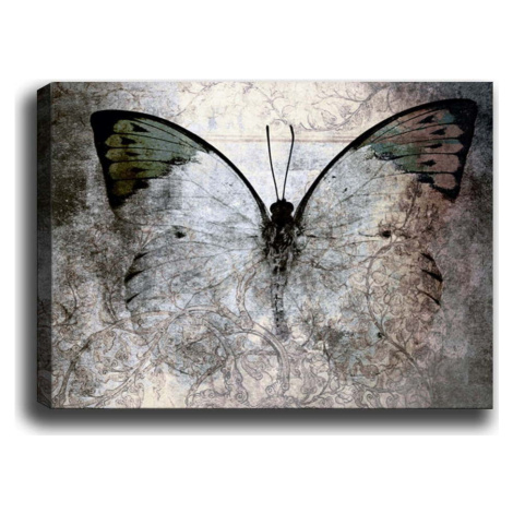 Obraz Tablo Center Fading Butterfly, 70 x 50 cm Vavien Artwork