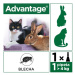 Advantage 40mg malé kočky+králíci spot-on 1x0.4ml