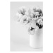 Fotografie Beauty Eustoma flowers in vase. Black, white_caty, 26.7 × 40 cm