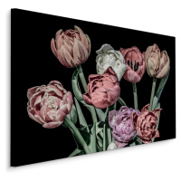 Plátno Pastelové Tulipány Na Černém Pozadí Varianta: 30x20