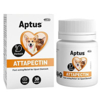 Aptus® Attapectin 30 tbl.