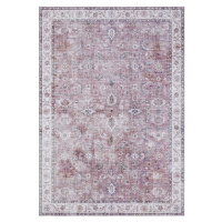 Nouristan - Hanse Home koberce AKCE: 80x200 cm Kusový koberec Asmar 104007 Raspberry/Red - 80x20