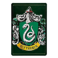 Harry Potter: Slytherin 20 × 30 cm