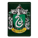 Harry Potter: Slytherin 20 × 30 cm