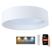 LED Stmívatelné svítidlo SMART GALAXY LED/36W/230V pr. 55 cm Wi-Fi Tuya + DO