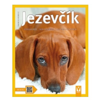 Jezevčík - Jak na to Jan Vašut s.r.o.