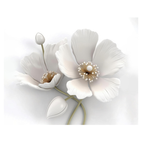 Obrazy na stěnu - Bílé květy Rozměr: 40x50 cm, Rámování: vypnuté plátno na rám