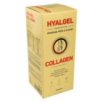 Hyalgel COLLAGEN 500 ml