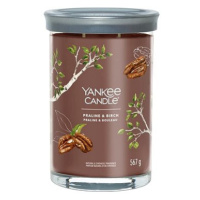 YANKEE CANDLE Signature 2 knoty Praline & Birch 567 g