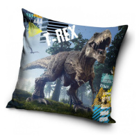 Carbotex Povlak na polštářek 40x40 cm - T-Rex