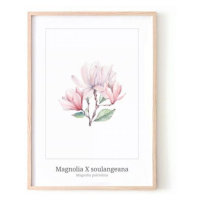 Bílý květinový plakát s motivem magnólie