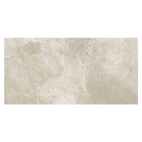 Dlažba Porcelaingres Royal Stone platinum white 30x60 cm mat X630384X8