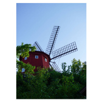 Fotografie Low angle view of traditional windmill, Niklas Storm, 30 × 40 cm