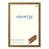 DANTIK rámeček 29,7 × 42, KASSETTE zlatý plexi čiré