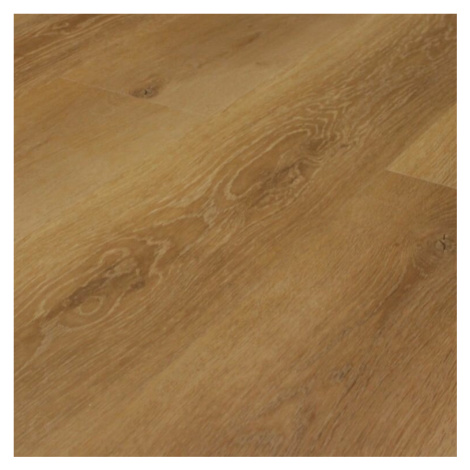 Contesse Vinylová podlaha kliková Click Elit Rigid Wide Wood 23308 Natural Oak Smoked  - dub - K