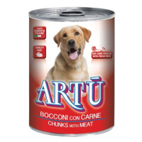 Artú ARTÚ Chunks maso 415g