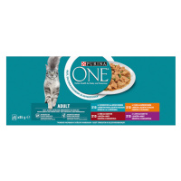 PURINA ONE ADULT Mini filetky s hovězím/jehněčím/kuřetem/mořskými rybami ve šťávě 40 x 85g