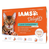 IAMS Delights pro dospělé kočky s drůbežím, jehněčím a hovězím masem v omáčce 12 × 85 g