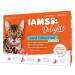 IAMS Delights pro dospělé kočky s drůbežím, jehněčím a hovězím masem v omáčce 12 × 85 g