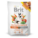 BRIT Animals alfalfa snack for rodents pamlsek pro králíky 100 g