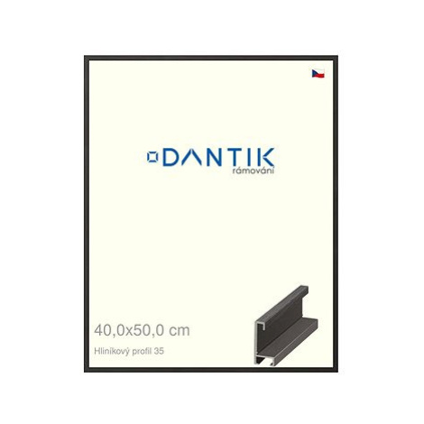 DANTIK rámeček 40 × 50, ALU profil 6035 Dýha černý plexi čiré