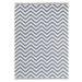 NORTHRUGS - Hanse Home koberce Kusový koberec Twin Supreme 103435 Palma blue creme – na ven i na