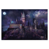 Umělecký tisk Harry Potter - Hogwarts night, 40x26.7 cm