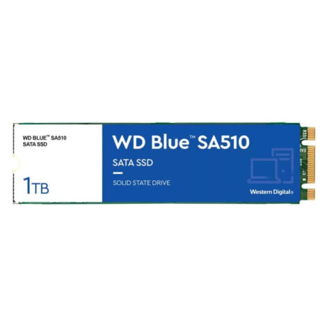 WD Blue SA510 1TB, WDS100T3B0B Western Digital