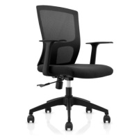 Kancelářská židle ForHealth BetaPro COC-1030-BK