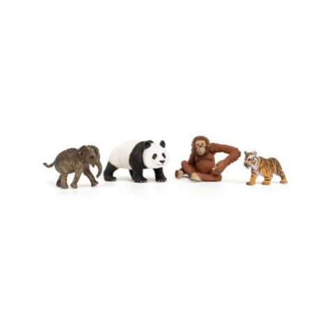 Schleich 42736 Startovací set Wild Life Asie