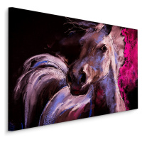 MyBestHome BOX Plátno Kůň V Pastelových Barvách Varianta: 100x70