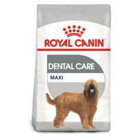 ROYAL CANIN DENTAL CARE MAXI suché krmivo pro velké psy s citlivými zuby 2 × 9 kg