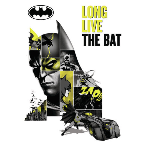 Umělecký tisk Batman - Long Live The Bat, 26.7x40 cm
