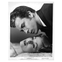 Fotografie Arlene Dahl And Fernando Lamas In 'Sangaree', Archive Photos, 30 × 40 cm