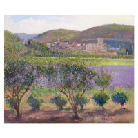 Obrazová reprodukce Lavender Seen Through Quince Trees, Monclus, Timothy Easton, 40 × 35 cm