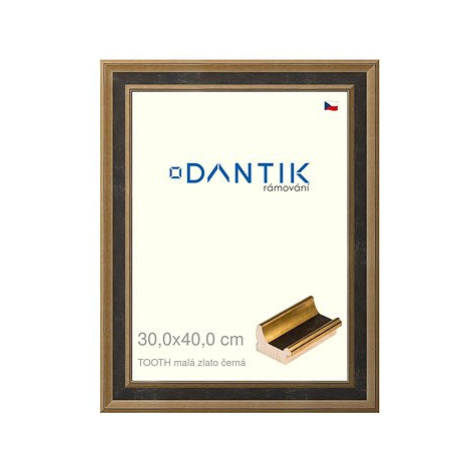 DANTIK rámeček 30 × 40, TOOTH malý zlato černý plexi čiré