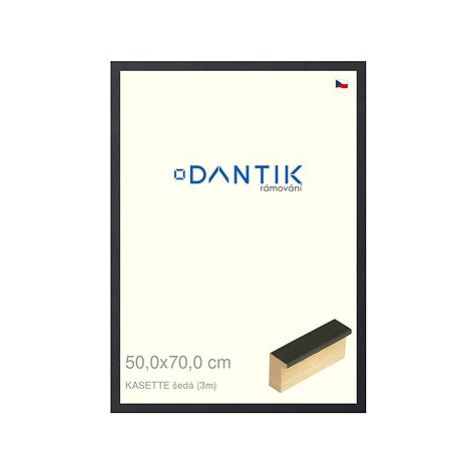 DANTIK rámeček 50 × 70, KASSETTE šedý 2758 plexi čiré