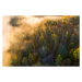 Fotografie Sunrise and morning mist in the forest, Baac3nes, 40 × 26.7 cm