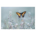 Fotografie Swallowtail beauty, Petar Sabol, 40 × 26.7 cm