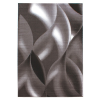 Ayyildiz koberce Kusový koberec Plus 8008 brown Rozměry koberců: 80x150