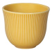 Loveramics Brewers - 150ml Embossed Tasting Cup - Yellow