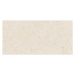 Dlažba Pastorelli Biophilic white 30x60 cm mat P009503