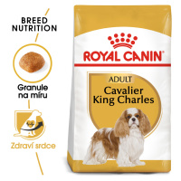 Royal Canin Cavalier King Charles Adult - granule pro dospělého kavalír king charles španěl - 1,