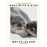 Fotografie Seal with a Kiss (White Island, Antarctica), 30 × 40 cm