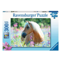 Ravensburger - Dětské 2D puzzle: Kůň 300 dílků