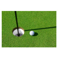 Fotografie Golf ball on green, Peter Dazeley, (40 x 26.7 cm)