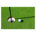 Fotografie Golf ball on green, Peter Dazeley, 40x26.7 cm